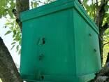Ловушка для пчелиных роев - фото 3