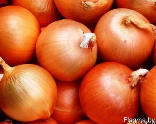 Лук