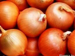 Лук