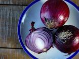 Лук репчатый фиолетовый 2025г. - фото 2