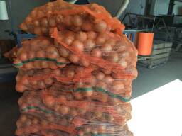 Лук репчатый производство Польша