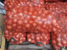 Лук свежий 2022