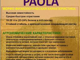 Люцерна