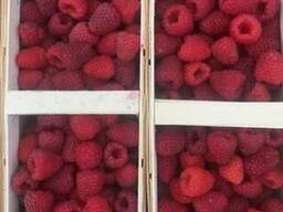 Малина!