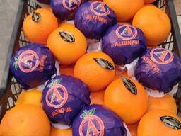 Мандарин Satsuma