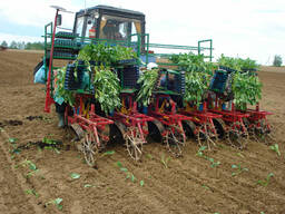 Машина рассадопосадочная (безкассетная) МР