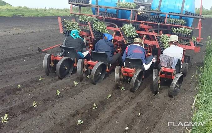 Машина рассадопосадочная (для томатов, перцев, капусты) МРТ