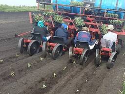 Машина рассадопосадочная (для томатов, перцев, капусты) МРТ