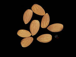 Миндаль ядро