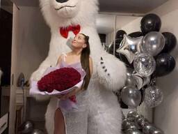 Мишка ростовой могилев