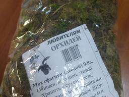 Мох сфагнум лесной