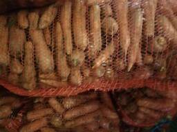 Морковь свежая