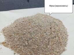 Мука (зерносмесь)