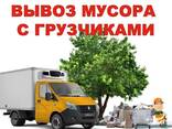 Мы вывозим мусор в городе Гомеле - фото 1