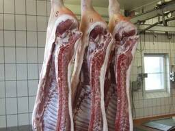 Мясо свинины полутуши охл/зам 2/3/4 категория