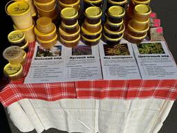 Мёд лесной , гречишный, липовый, падевый , луговой