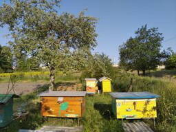 Рамки пчелиные