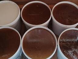 Мёд оптом 2022г