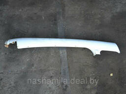 Накладка лобового стекла MAN TGA