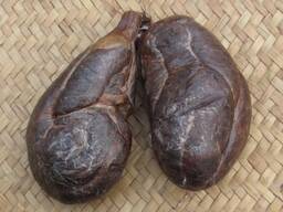 Настойка БОБРОВОЙ струи