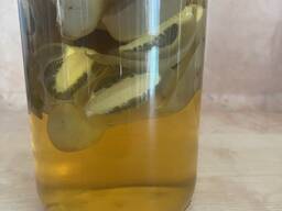 Настойка гриба веселка