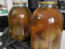 Настойка Гриба Веселка