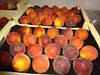 Нектарины и персики из Испании. Прямые поставки