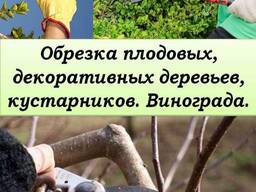 Обрезка деревьев. Обрезка сада.