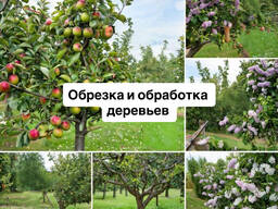 Обрезка деревьев