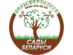 Обрезка плодовых деревьев и кустарников