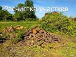Расчистка участка любой сложности. Уборка территории. - фото 1