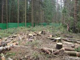 Обрезка деревьев удаление деревьев кустов