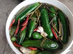 Огурцы соленые