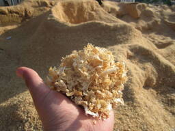 Опилка древесная