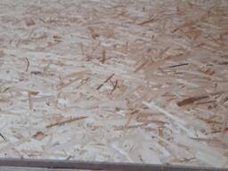 OSB плита 1250*2500