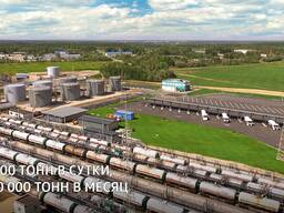 Отстой (временное хранение) порожних жд вагонов