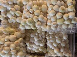 Лук репчатый очищенный в вакуумной упаковке. Только ОПТ от 120 кг