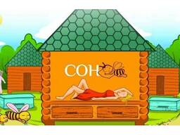 Оздоровительный сон на пчелах. Апитерапия