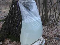 Пакеты для березового сока