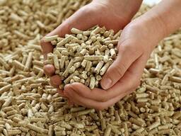 Pellets, firewoods, briquets