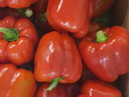 Перец красный, зеленый, желтый;острый (пр-во Польша)