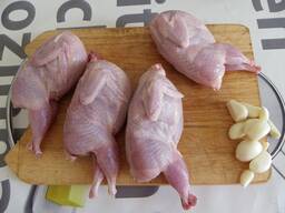 Перепела тушки потрашеные