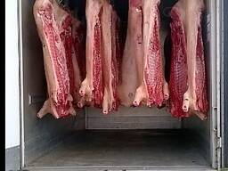 Перевозка грузов рефрижератором 2.5т.