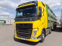 Перевозка скота (свиньи, КРС) вместимость до 25 тонн.