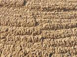 Песок с доставкой от производителя - фото 3