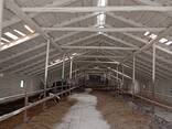 Побелка животноводческих ферм - фото 3