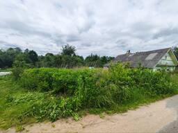 Покос бурьяна