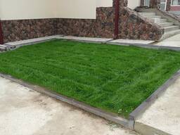 Покос Травы