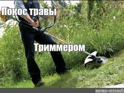 Покос травы