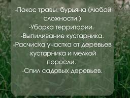 Покос травы бурьяна